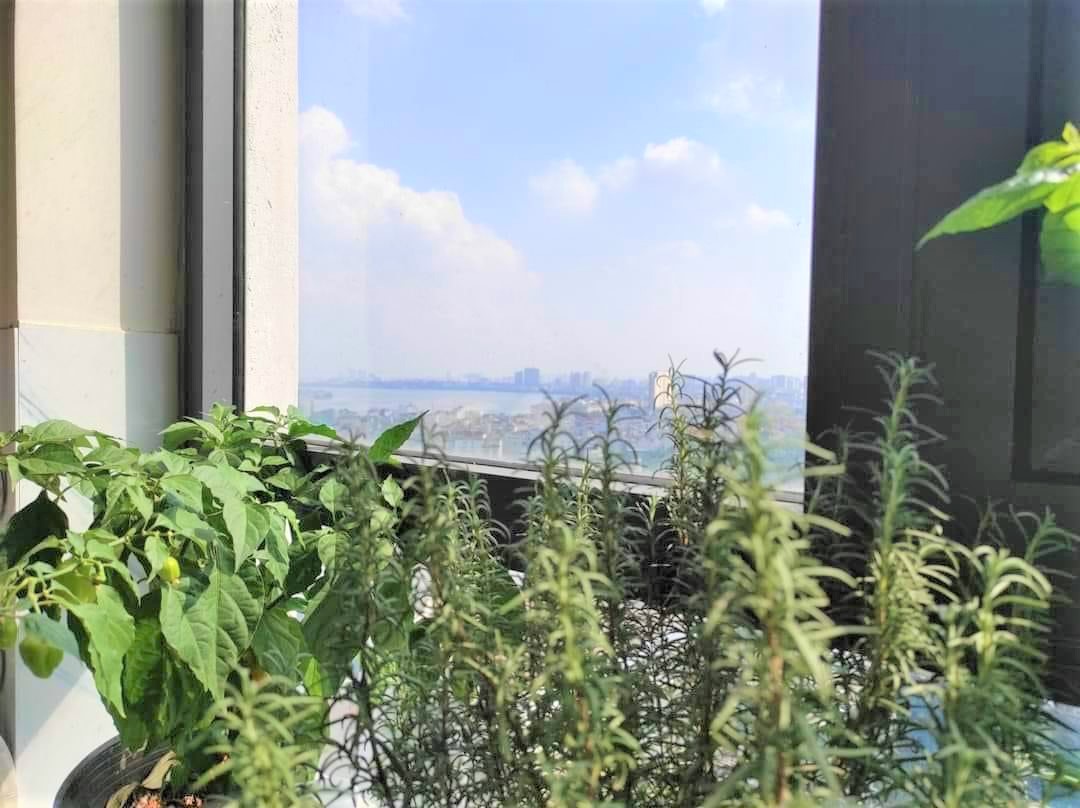 Bán căn hộ 2 ngủ 79m2 full đồ view Hồ Tây, có sổ đỏ, tòa N04A Ngoại Giao Đoàn 3