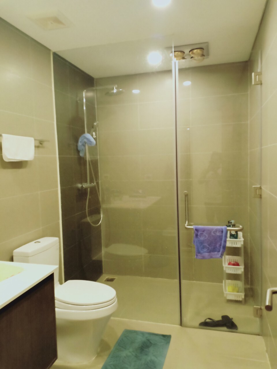 Cho thuê căn 3PN tầng cao toà N03T2 View Hồ 9