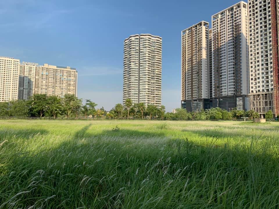 thiết kế căn hộ no1
